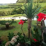 Azores, Faial , Horta, Vacation Front Home, First & Second Floor For Rent Separately Vakantiehuis