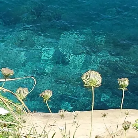 Azores, Faial , Horta, Vacation Front Home, First & Second Floor For Rent Separately Nyaraló