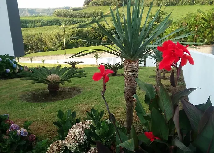 Azores, Faial , Horta, Vacation Front Home, First & Second Floor For Rent Separately Holiday home