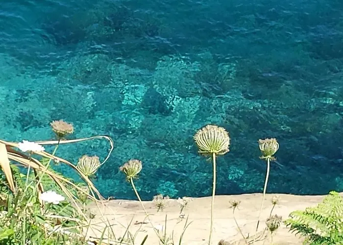 Azores, Faial , Horta, Vacation Front Home, First & Second Floor For Rent Separately 度假居